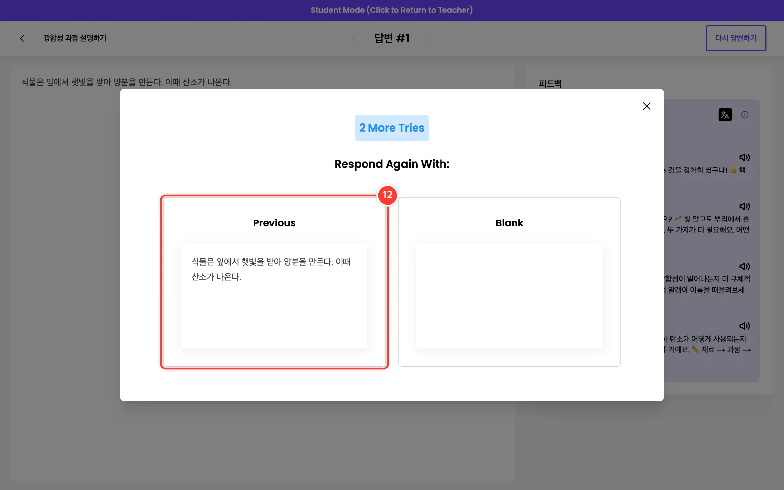 스텝 12