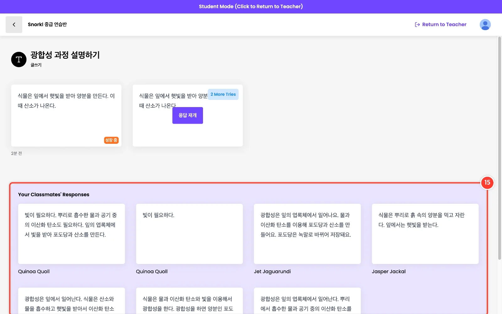 스텝 15